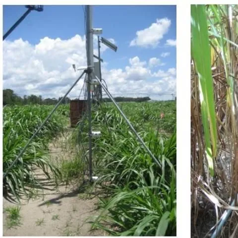 thumbnail for publication: Field Observations during the Eleventh Microwave Water and Energy Balance Experiment (MicroWEX-11): from April 25, 2012, through December 6, 2012